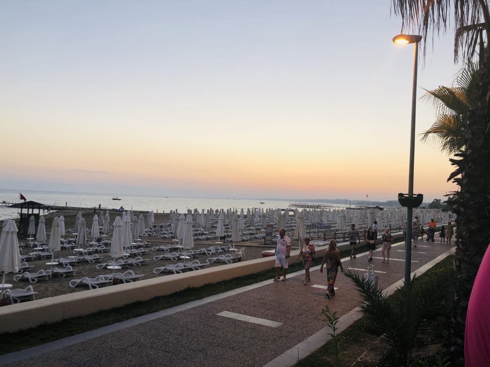 Strand PALOMA Perissia