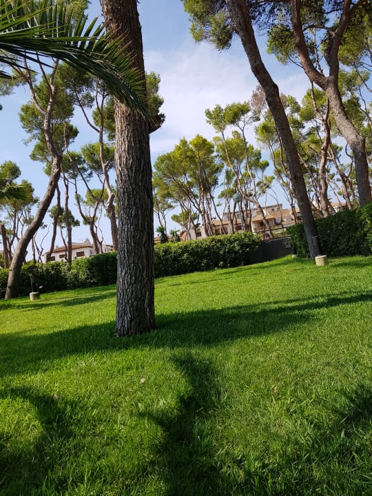 Gartenanlage Hotel Riu Festival