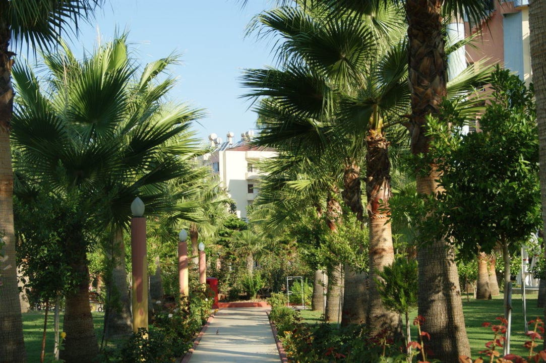 Weg zum Strand Saphir Hotel & Villas