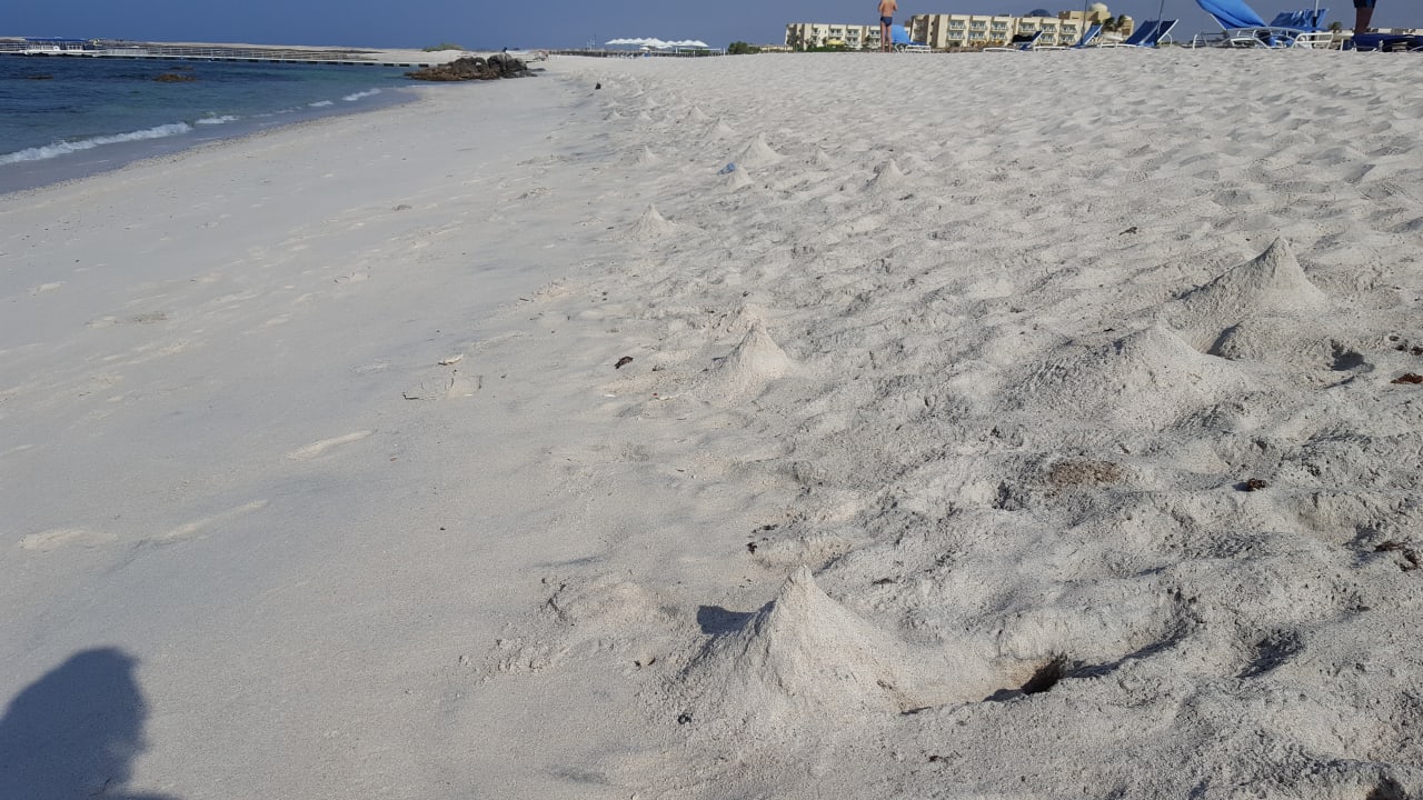 Strand Wyndham Garden Salalah Mirbat