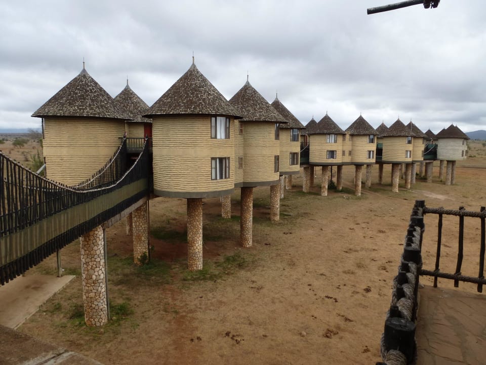 Blick auf die Stelzenhäuser Salt Lick Safari Lodge