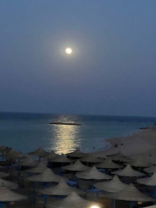 Strand Utopia Beach Club