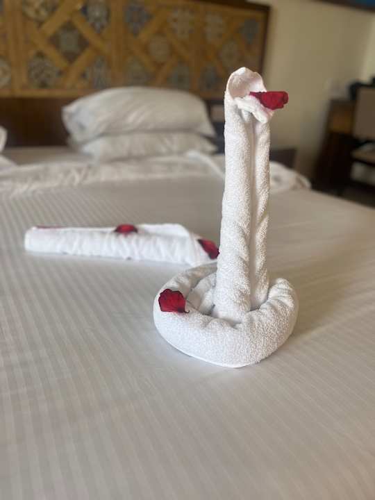 Zimmer Lazuli Hotel Marsa Alam