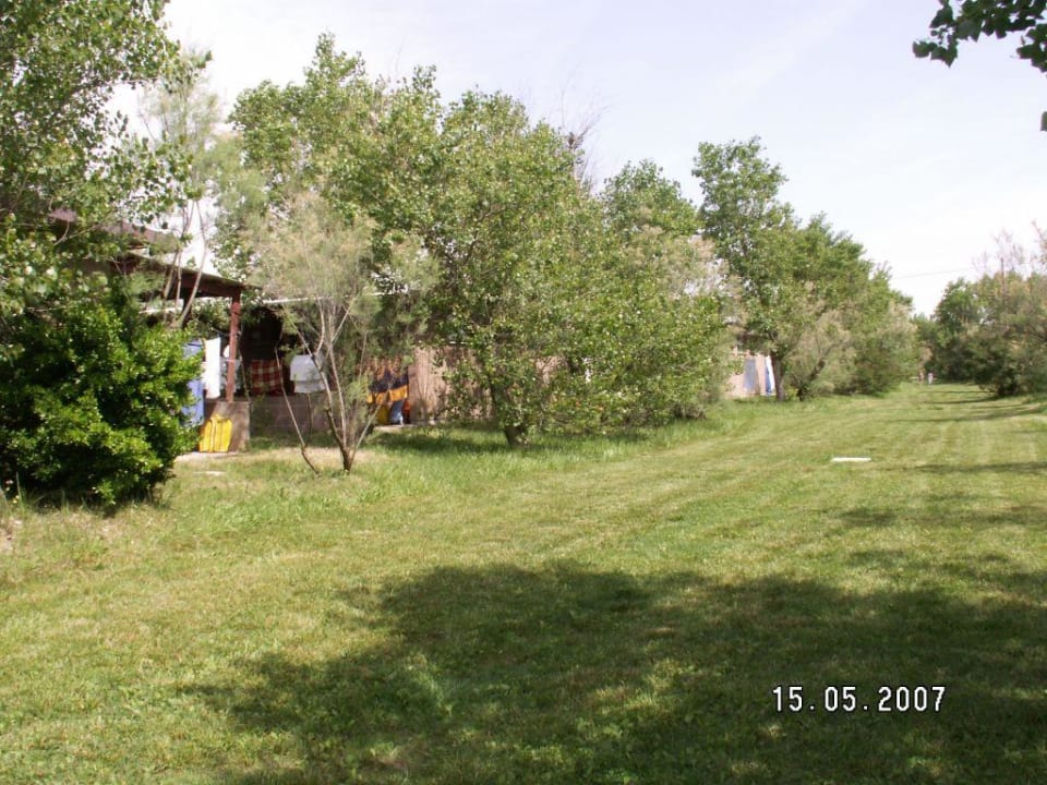 Große Grünfläche hinter dem Chalet Rosapineta Camping Village