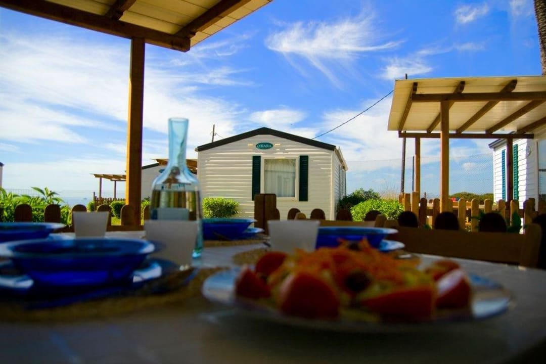 Terraza Las Palmeras Camping & Bungalow