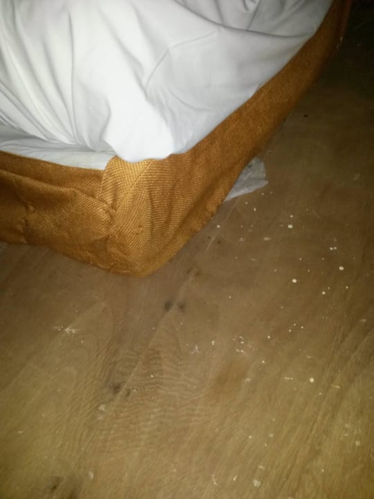 Sehr einladend Wyndham Alltra Samana