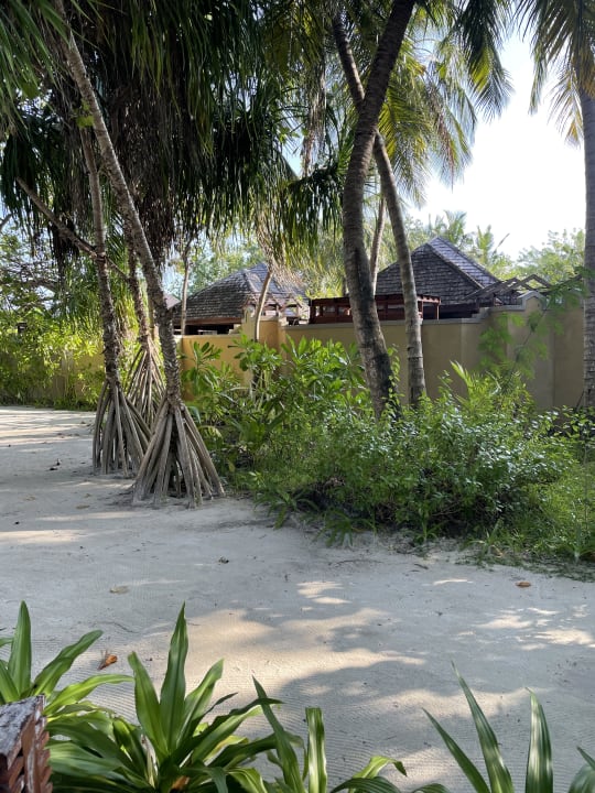 Gartenanlage Sun Siyam Olhuveli