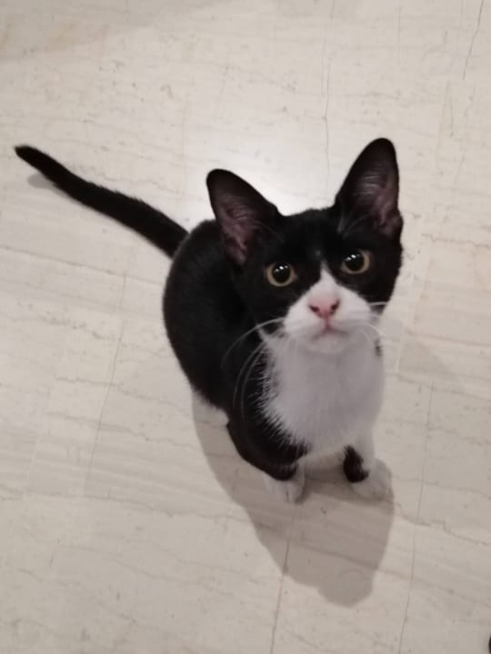 Sonstiges Hotel Artemis