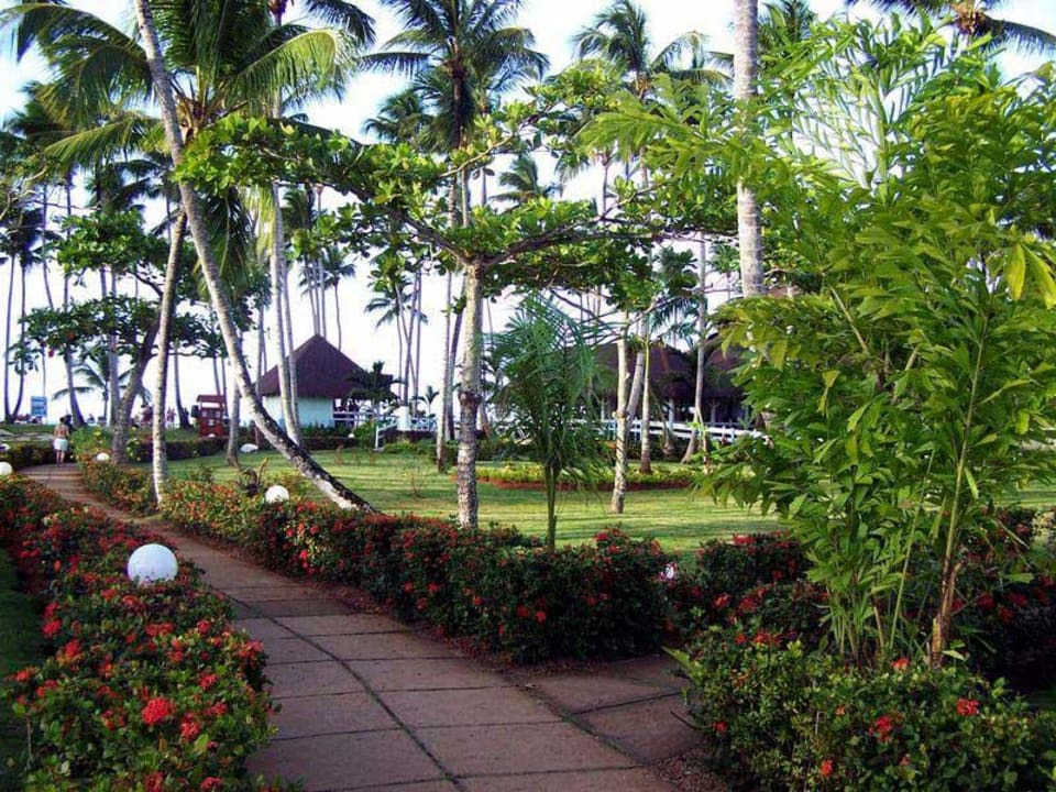 Blick zur Beachbar Viva V Samana by Wyndham – Adults Only