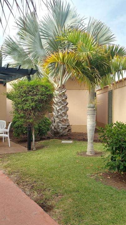 Gartenanlage allsun Hotel Esplendido