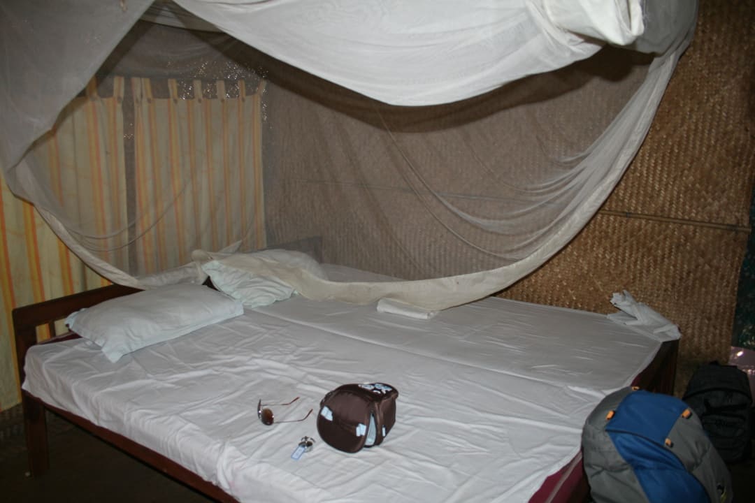 Bett Blue Corner Camp