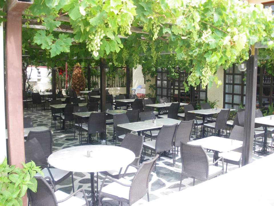Außenterrasse von Weinranken umgeben HARPIN Happy Days Beach Hotel