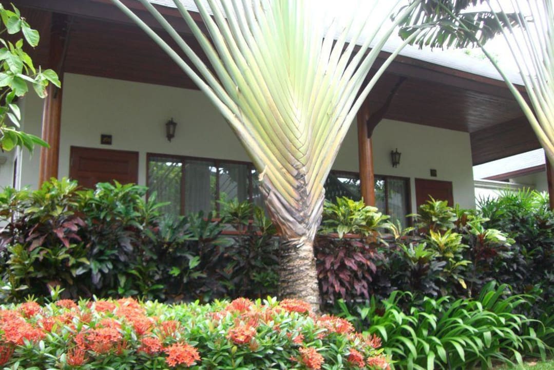 Doppelbungalow Banana Fan Sea Resort