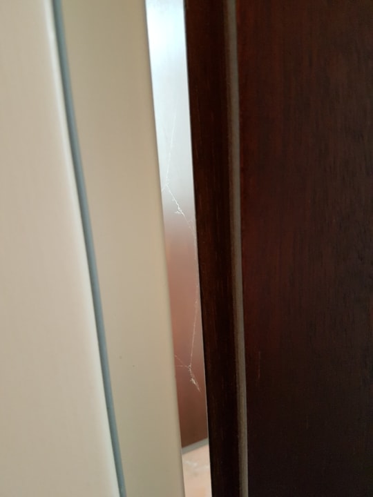 Zimmer Wellnesshotel Wittelsbach