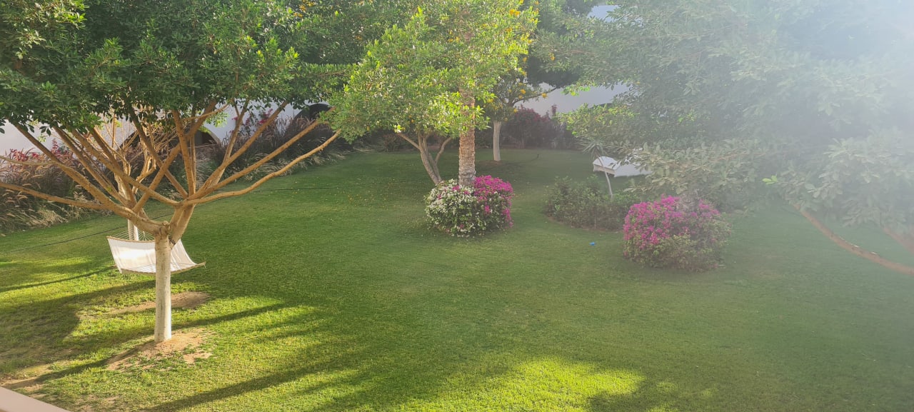 Gartenanlage Desert Rose