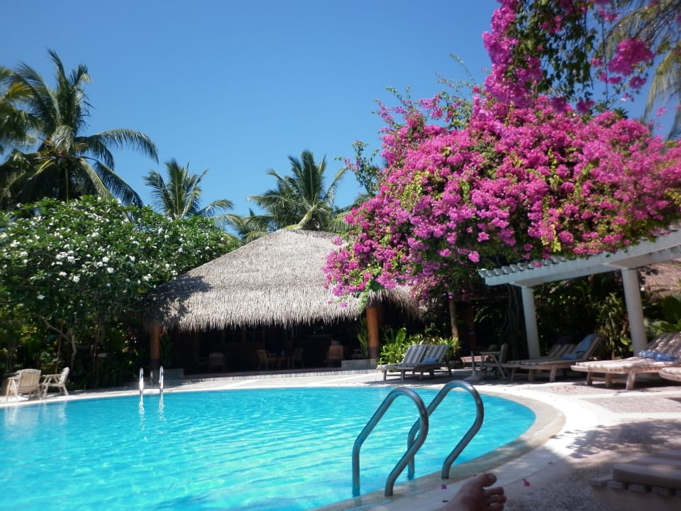Pool in Mitten der Insel Kuramathi Maldives