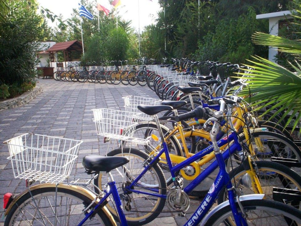 Die vielen Fahrräder Gaia Garden Hotel
