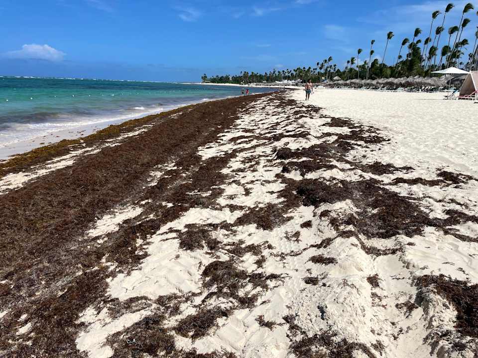 Strand Iberostar Selection Coral Bávaro