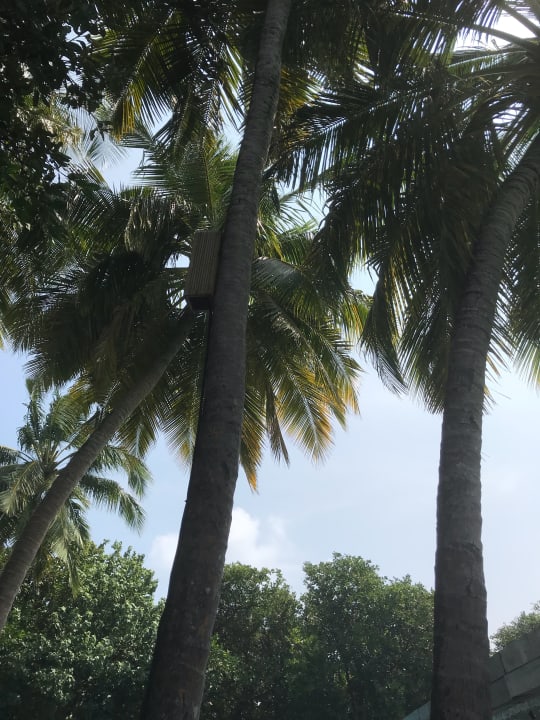 Sonstiges NH Collection Maldives Reethi Resort