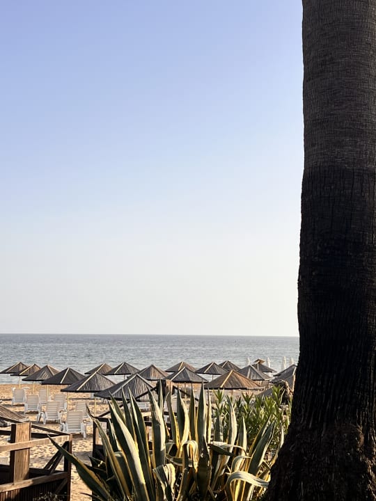 Ausblick Hotel Defne Garden