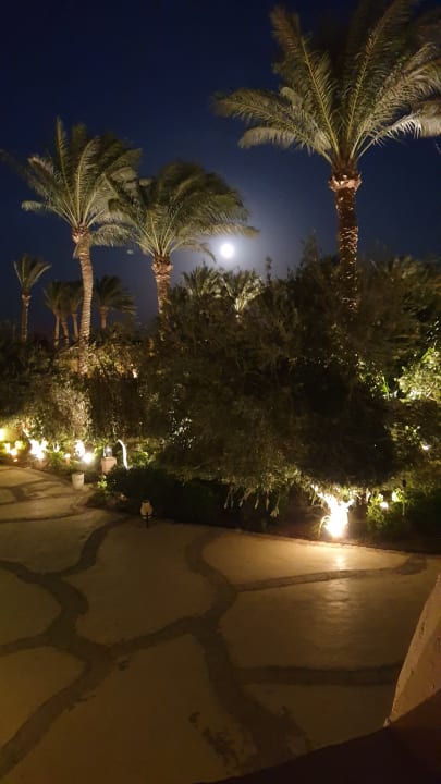 Gartenanlage Grand Makadi