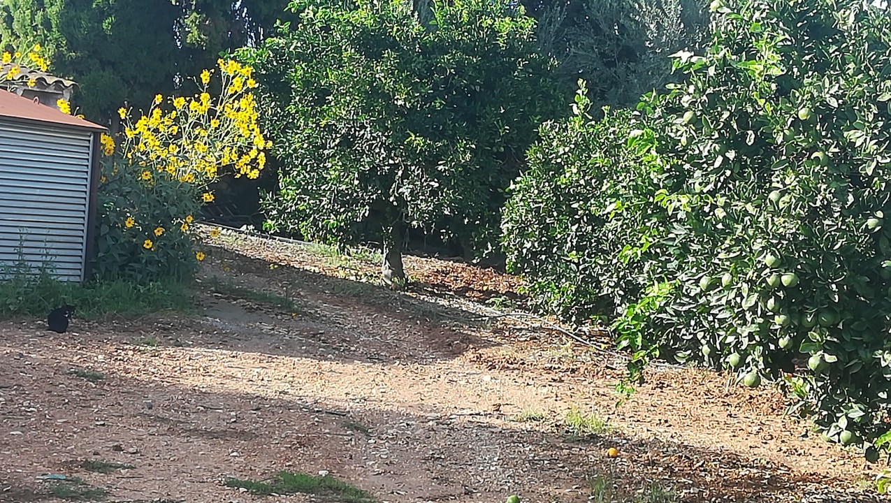 Gartenanlage Hotel Son Trobat Wellness & Spa