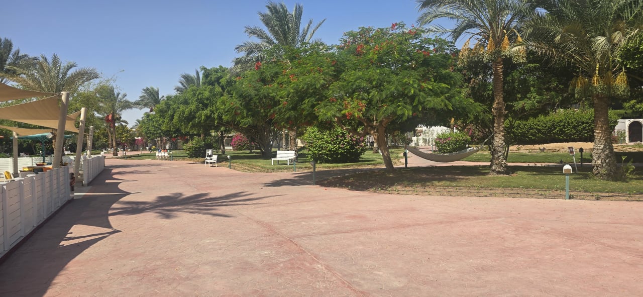 Gartenanlage Desert Rose