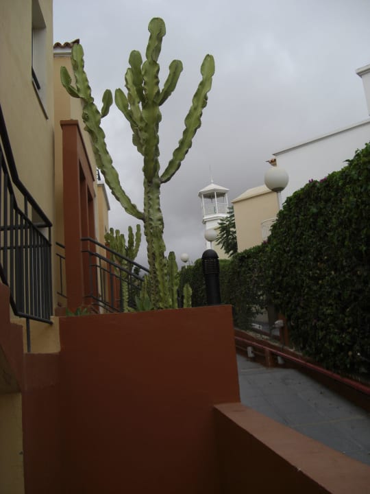 Ordentlich Los Olivos Beach Resort