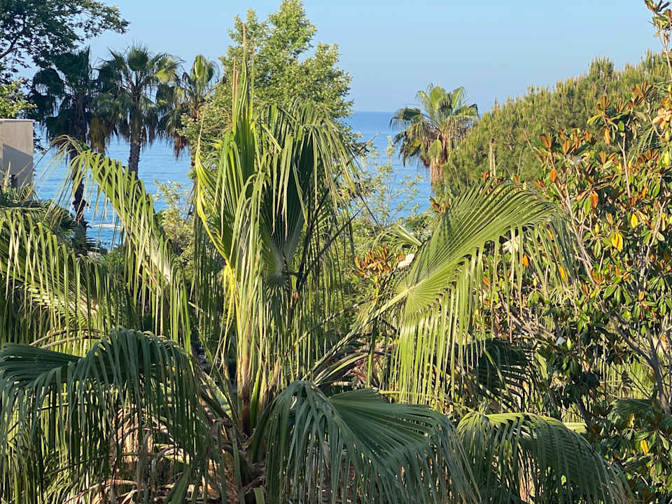 Gartenanlage Labranda Alantur Resort