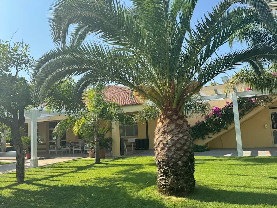 Außenansicht TUI MAGIC LIFE Calabria