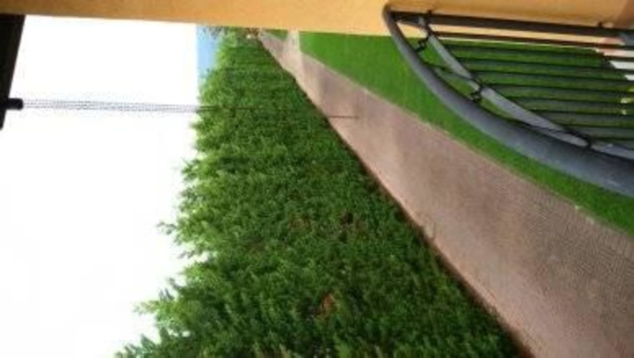 Teren hotelu Falkensteiner Club Funimation Garden Calabria
