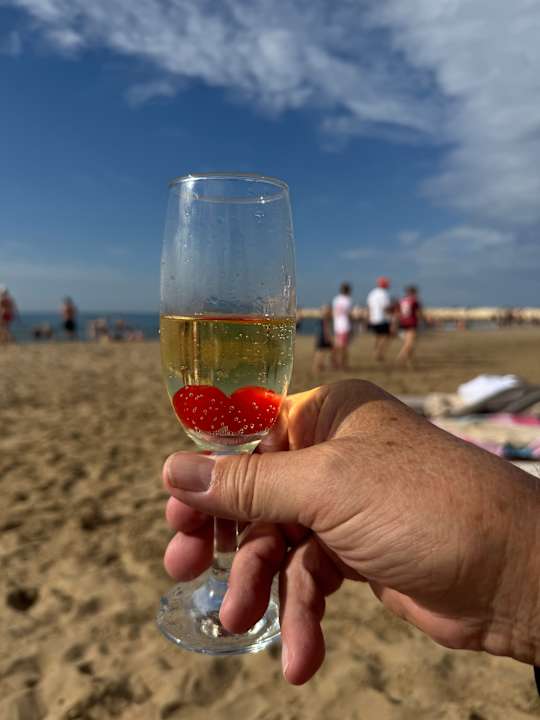 Strand Aydinbey Kings Palace & Spa