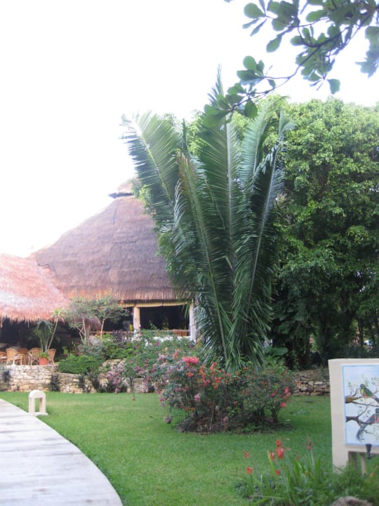 Frühstück Hotel Las Palapas