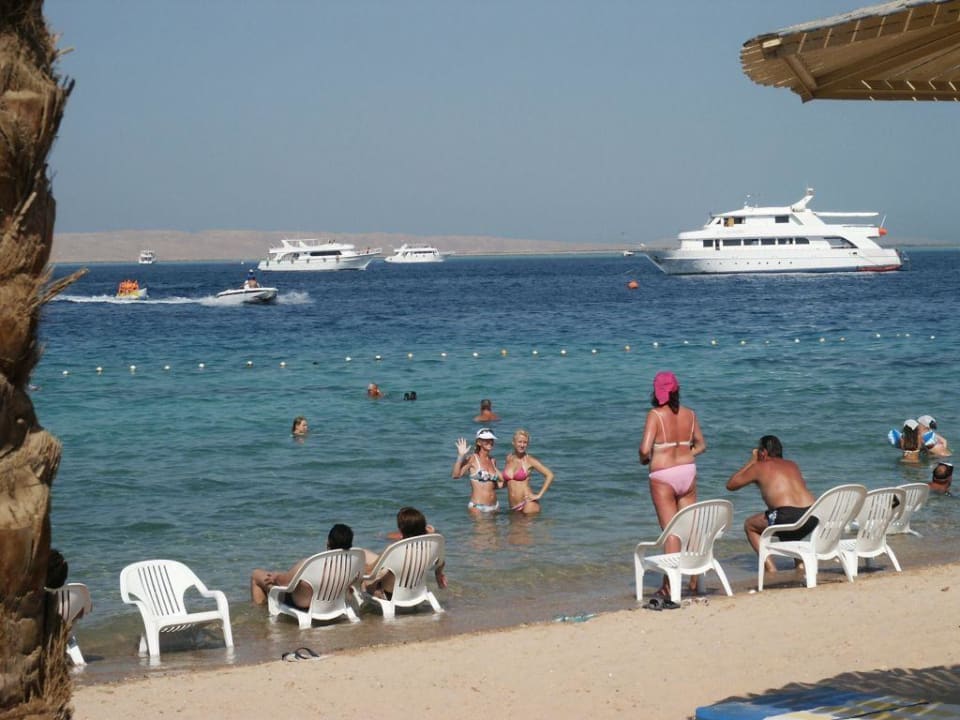Entspannung am Strand des Seagull "neu" Seagull Beach Resort