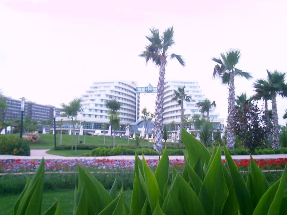 Foto vom Strand Hotel Miracle Resort