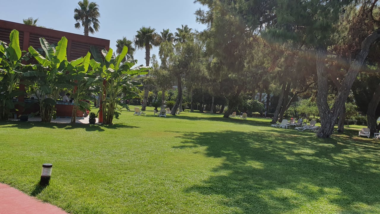 Gartenanlage TUI MAGIC LIFE Beldibi +16