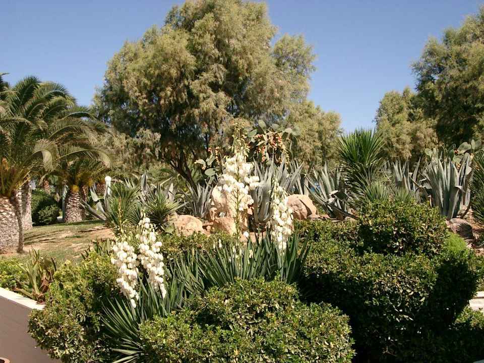 Gartenanlage Santa Marina Beach