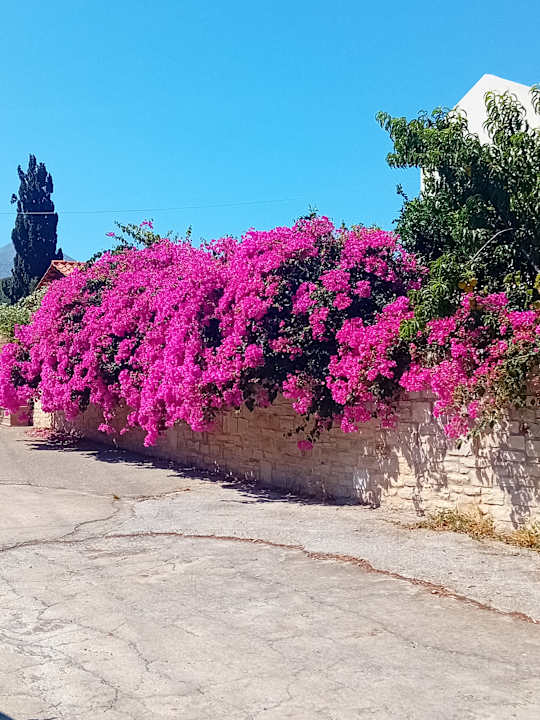 Ausblick Hotel Corissia Princess