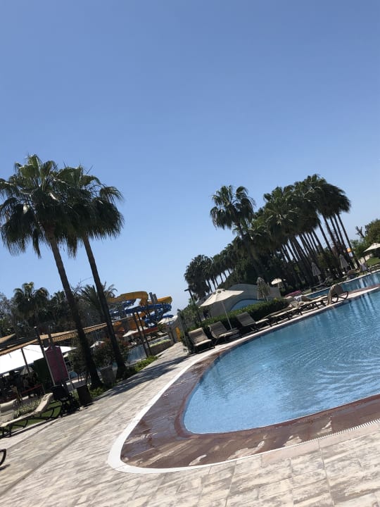 Pool Arum Barut Collection