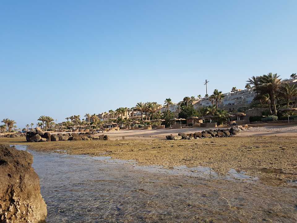 Strand Pickalbatros Citadel Resort