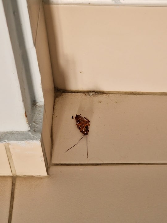 Zimmer Elegant Roof Deck House with Jacuzzi