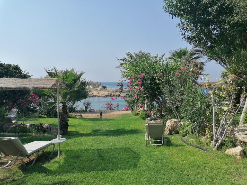 Gartenanlage Crystal Springs Beach Hotel