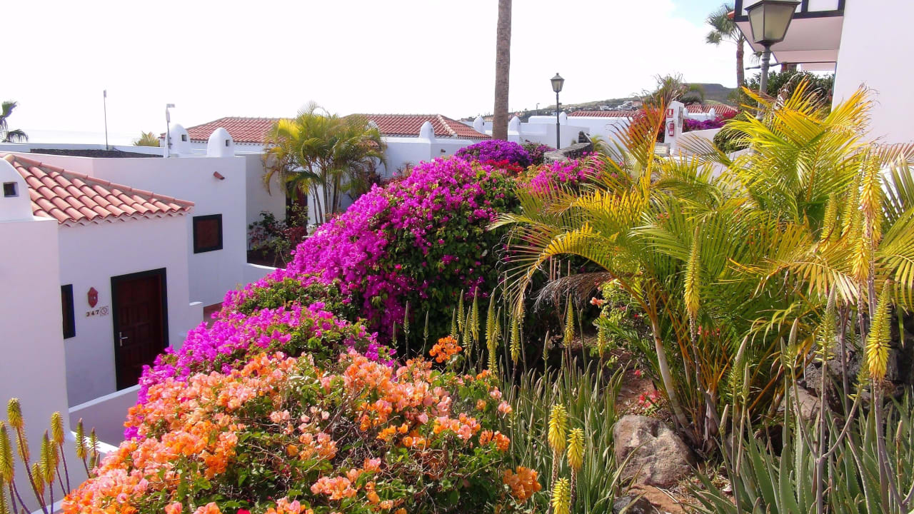 Hotel Jardin Tecina Außenanlage Hotel Jardin Tecina