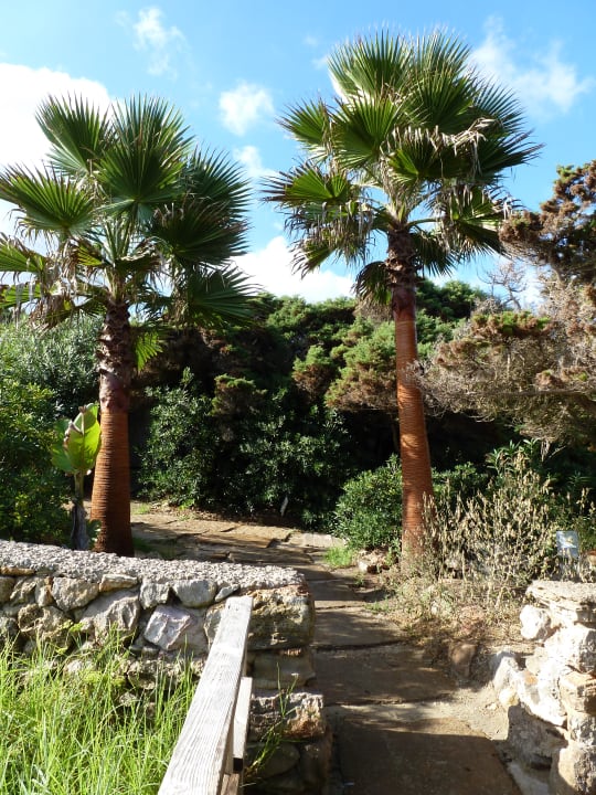 Sonstiges Moon Dreams Coral Beach