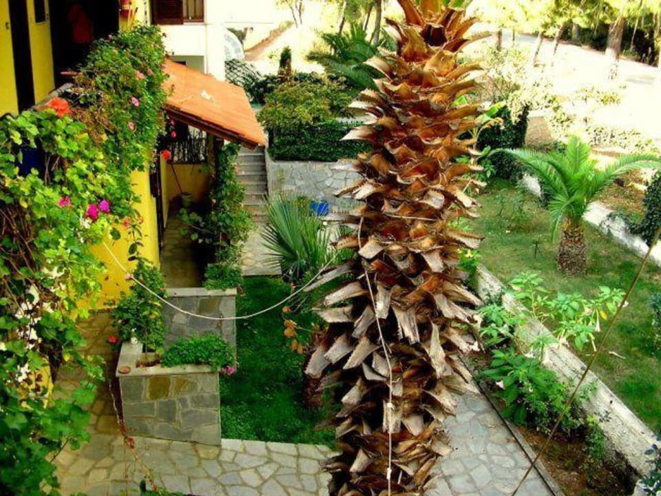 Garten Haus des Gartens / Pension Nikos