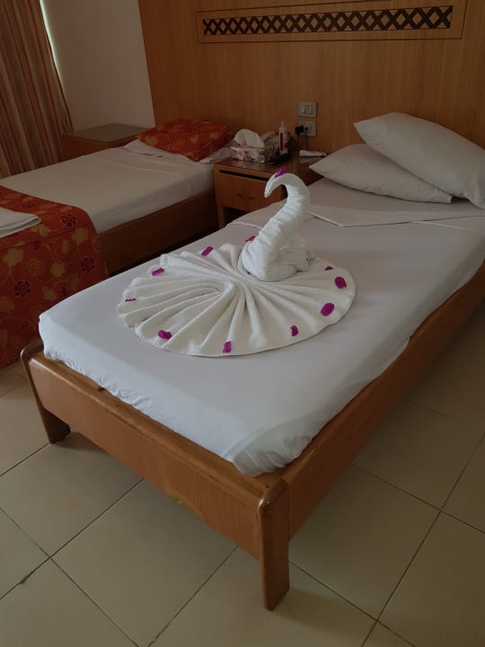 Zimmer Menaville Safaga