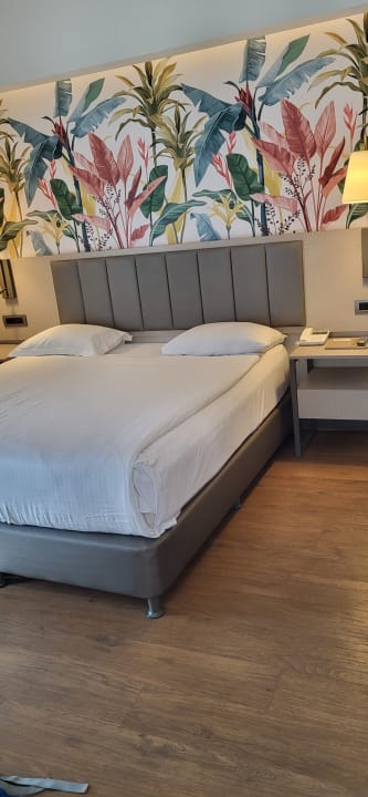 Zimmer Megasaray Club Belek