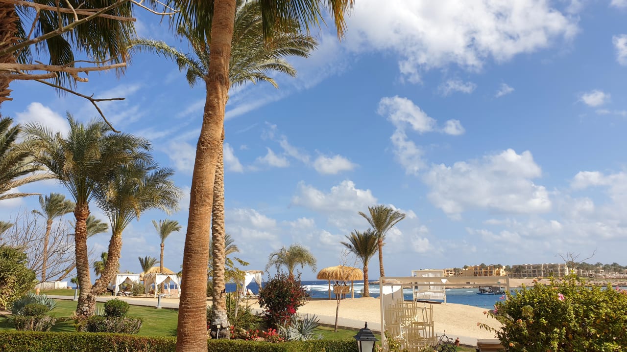 Gartenanlage Steigenberger Coraya Beach - Adults only