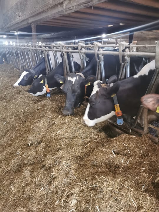 Sonstiges Fischerhof - Urlaub auf dem Bauernhof