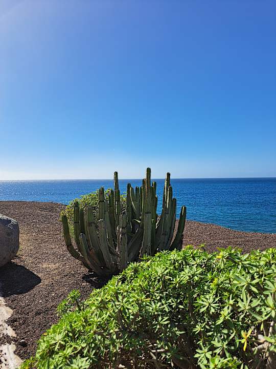 Strand Hotel Riu Palace Maspalomas Adults Only
